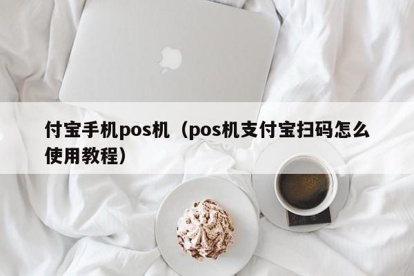 付宝手机pos机（pos机支付宝扫码怎么使用教程）