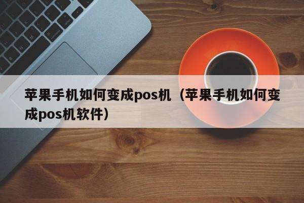 苹果手机如何变成pos机（苹果手机如何变成pos机软件）