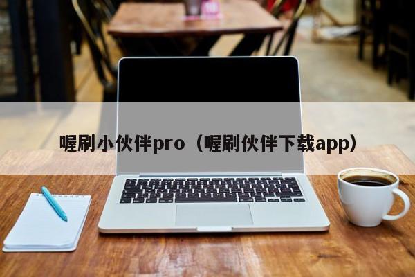 喔刷小伙伴pro（喔刷伙伴下载app）