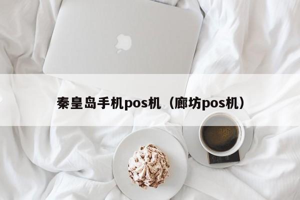 秦皇岛手机pos机（廊坊pos机）