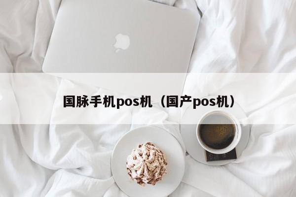 国脉手机pos机（国产pos机）