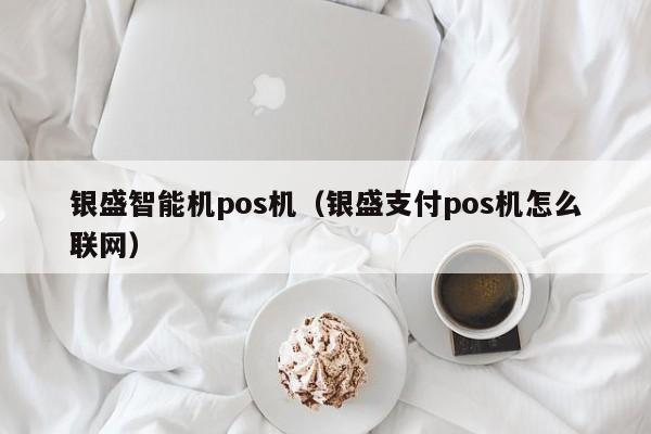 银盛智能机pos机（银盛支付pos机怎么联网）