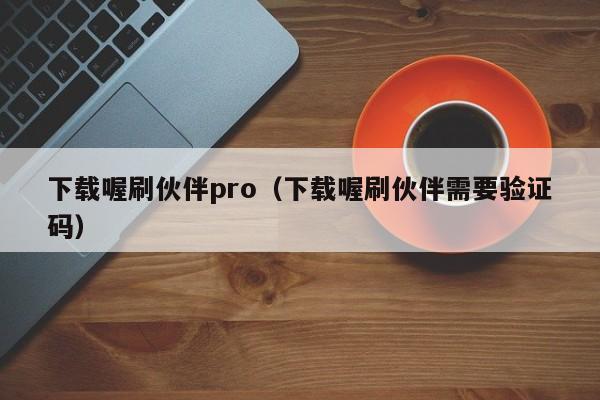 下载喔刷伙伴pro（下载喔刷伙伴需要验证码）