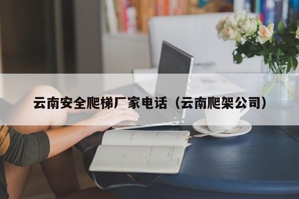 云南安全爬梯厂家电话（云南爬架公司）