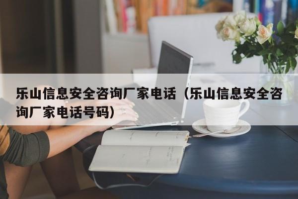 乐山信息安全咨询厂家电话（乐山信息安全咨询厂家电话号码）